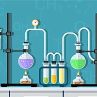 Bộ đề thi giữa học kì 2 môn Khoa học tự nhiên 9 năm 2024 - 2025 sách Kết nối tri thức với cuộc sống
