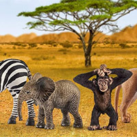 Giáo án PowerPoint Tiếng Việt 5: Thiên đường của các loài động vật hoang dã