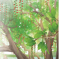 Đọc: Lộc vừng mùa xuân - Tiếng Việt 5 Chân trời sáng tạo