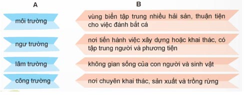 Mở rộng vốn từ Môi trường