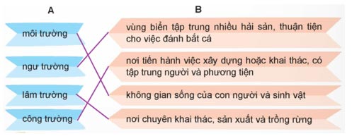 Mở rộng vốn từ Môi trường