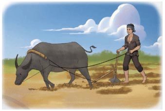 Luyện tập quan sát, tìm ý cho bài văn tả người