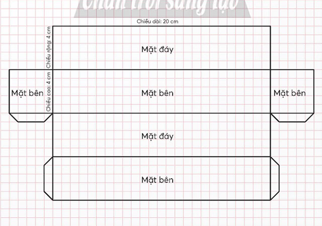 Thực hành và trải nghiệm