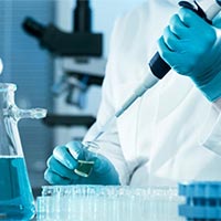 Bài giảng điện tử môn Khoa học 5 sách Kết nối tri thức với cuộc sống (Học kì 2)