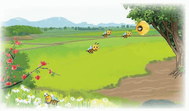 Chia số đo thời gian