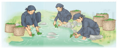 Đánh giá, chỉnh sửa đoạn văn thể hiện tình cảm, cảm xúc về một sự việc