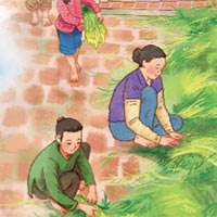 Đọc: Hương cốm mùa thu - Tiếng Việt 5 Kết nối tri thức