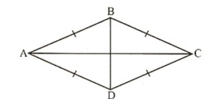 Trắc nghiệm Toán 4 Bài 58: Em làm được những gì
