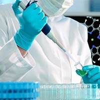 Đề thi giữa học kì 2 môn Sinh học 12 năm 2024 - 2025 sách Kết nối tri thức với cuộc sống