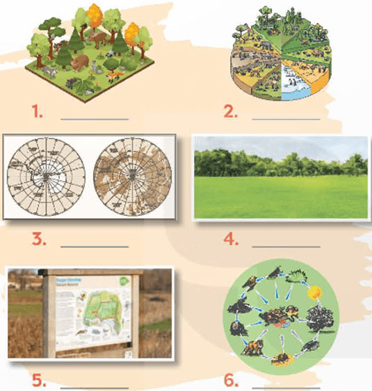 Unit 10: A Closer Look 1