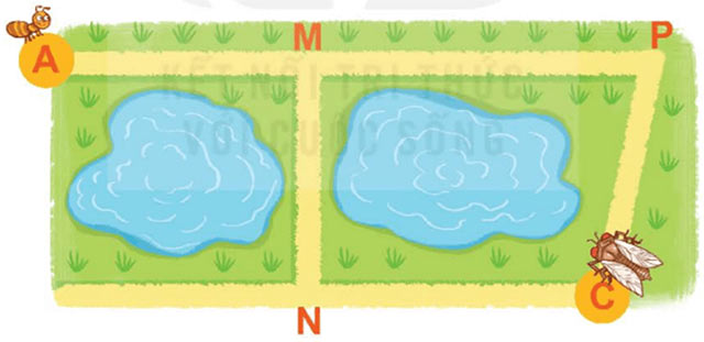 Nhân, chia số đo thời gian với một số
