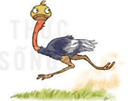 Vận tốc của một chuyển động đều