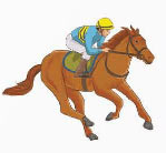 Em làm được những gì