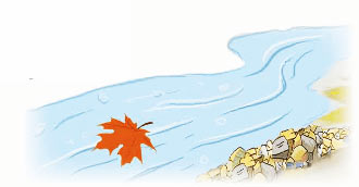 Em làm được những gì