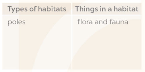 Unit 10: Looking Back