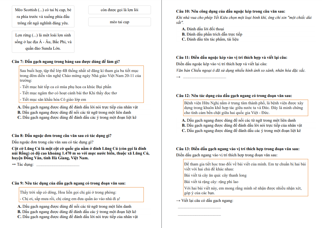 Chuyên đề Dấu câu (Dấu gạch ngang, Dấu ngoặc đơn, Dấu ngoặc kép)