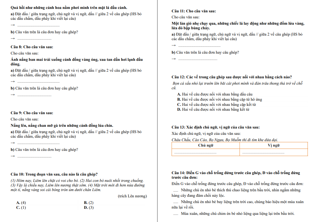 Chuyên đề Câu đơn, câu ghép. Cách nối các vế câu ghép