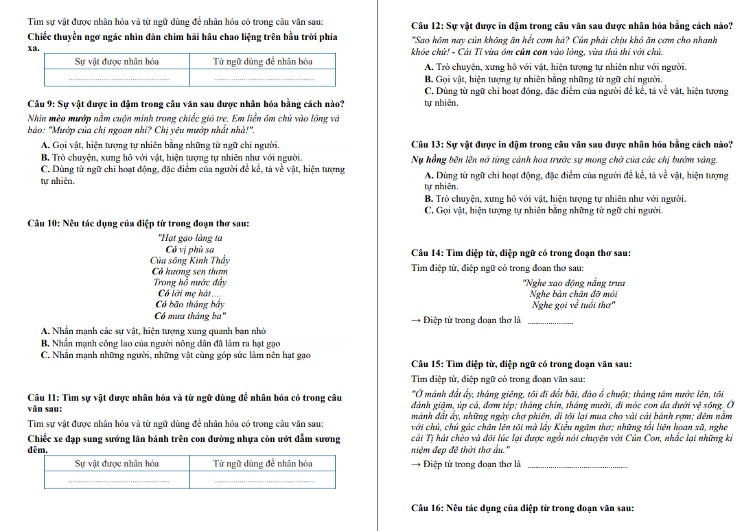 Chuyên đề Biện pháp tu từ