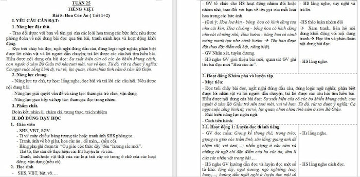 Giáo án Tiếng Việt 4: Hoa cúc áo