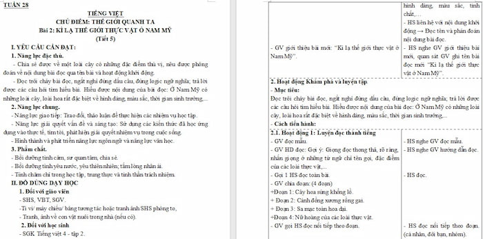 Giáo án Tiếng Việt 4: Kì lạ thế giới thực vật ở Nam Mỹ