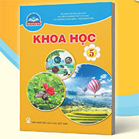 Bộ đề thi học kì 2 môn Khoa học 5 năm 2024 - 2025 sách Chân trời sáng tạo