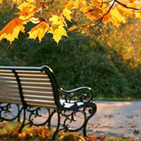 Kể lại đoạn em thích nhất trong câu chuyện Một sáng thu xưa bằng lời của một chiến sĩ