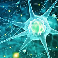 Giáo án PowerPoint Sinh học 12 Bài 28: Hệ sinh thái