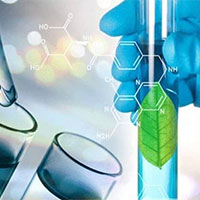 Giáo án PowerPoint Sinh học 12 Bài 31: Sinh quyển khu sinh học và chu trình sinh địa hóa