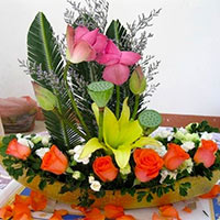 Bài thuyết trình cắm hoa 26/3 hay nhất