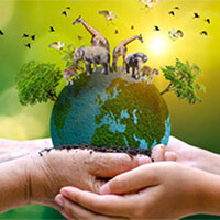 Giáo án PowerPoint Sinh học 12 Bài 34: Phát triển bền vững