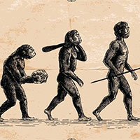 Giáo án PowerPoint Khoa học tự nhiên 9 Bài 46: Khái niệm về tiến hoá và các hình thức chọn lọc