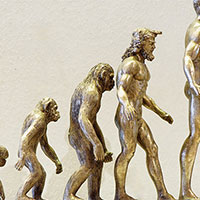 Giáo án PowerPoint Khoa học tự nhiên 9 Bài 48: Phát sinh và phát triển của sự sống trên Trái Đất