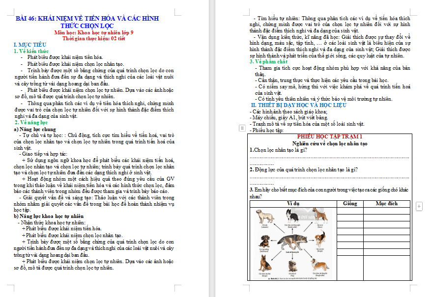 Giáo án Sinh học 9 Bài 46 Cơ chế tiến hoá