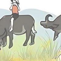 Thảo luận về Ý nghĩa của thơ ca đối với đời sống con người