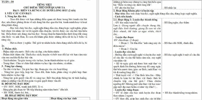 Giáo án Tiếng Việt 4: Biển và rừng cây dưới lòng đất