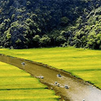 Viết đoạn văn thể hiện tình cảm, cảm xúc về một câu chuyện đã nghe, đã đọc về quê hương, đất nước