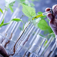 Đề thi thử THPT Quốc gia năm 2025 môn Sinh học trường THPT Thuận Thành, Bắc Ninh