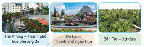 Thành phố Vì hoà bình
