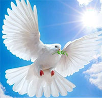 Giáo án PowerPoint Tiếng Việt 5 Bài 16: Biểu tượng của hoà bình