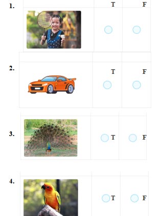 ENGLISH GRADE 3 REVISION 2
