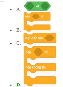 Đề cương học kì 2 môn Tin học 5