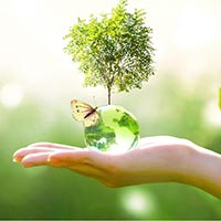 Viết đoạn văn nêu ý kiến tán thành phong trào trồng và bảo vệ cây xanh