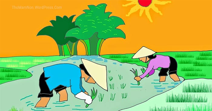 Hạt gạo làng ta