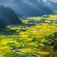 Đọc: Việt Nam ở trong trái tim tôi - Tiếng Việt 5 Cánh diều