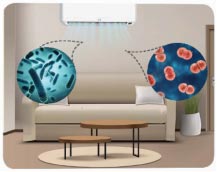 Khoa học 5 Chân trời sáng tạo