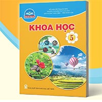 Bộ đề ôn thi học kì 2 môn Khoa học 5 năm 2024 - 2025 sách Chân trời sáng tạo