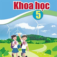 Đề cương ôn tập học kì 2 môn Khoa học 5 sách Cánh diều