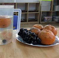 Giáo án Steam: Tìm hiểu quả cam