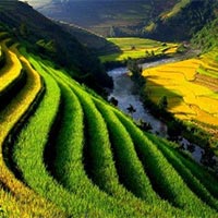 Đọc: Việt Nam quê hương ta - Tiếng Việt 5 Kết nối tri thức