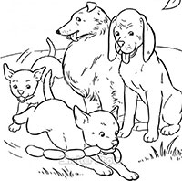 Giáo án mầm non: Làm quen một số con vật nuôi trong gia đình